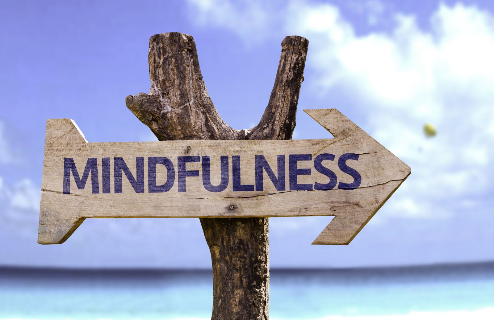Mindfulness: What it is, Why you suck at it, and Why you should fix that